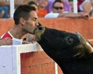Nuk ka kafshë në botë më kafshërore, të tërbuar sesa njeriu!