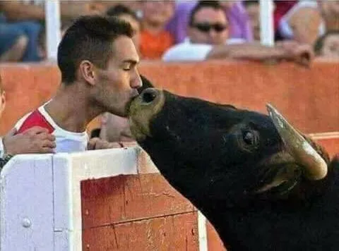 Nuk ka kafshë në botë më kafshërore, të tërbuar sesa njeriu!