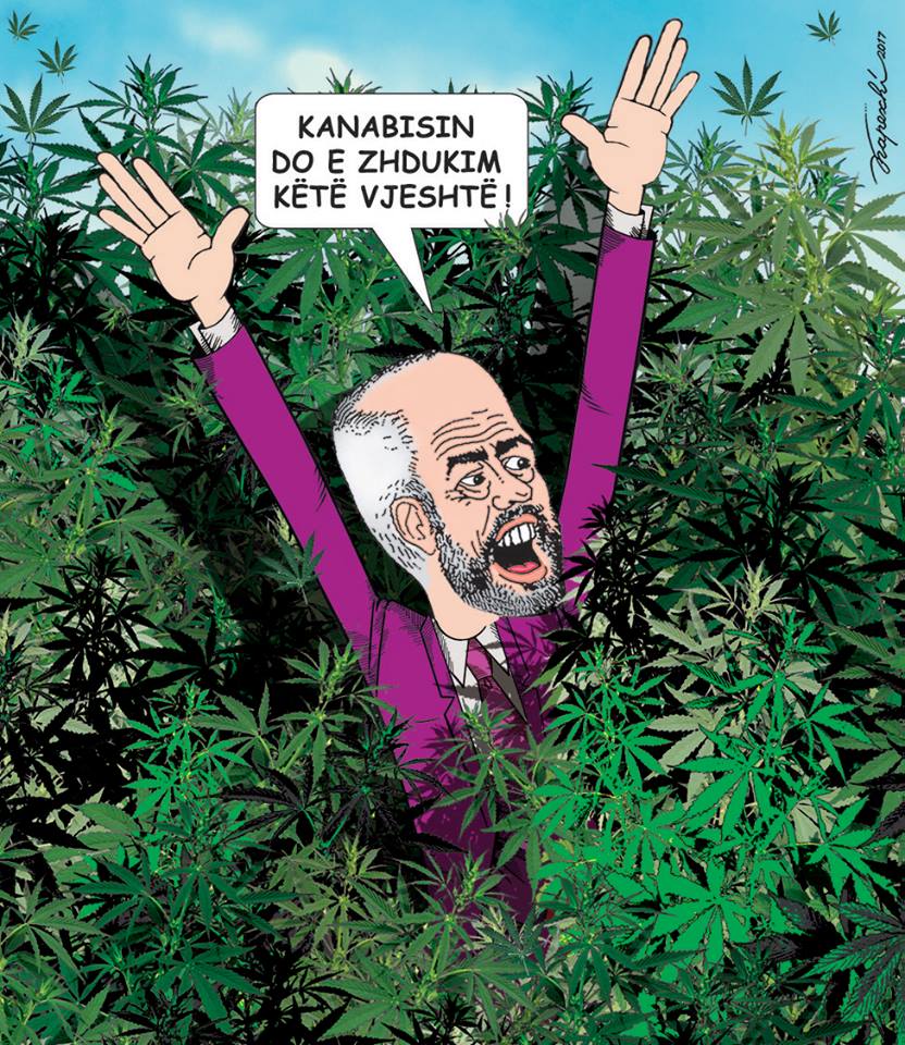 “Hashashin nuk e sollëm ne po e gjetëm mes jush