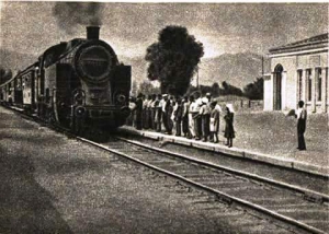 Foto e rrallë /    …viti 1950, treni Durrës-Tiranë…(67 vjet)