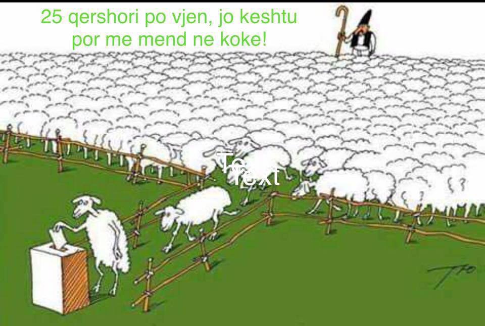 Mendohu mirë për votën! Mos  shit të ardhmen e fëmijës tënd për pak para!