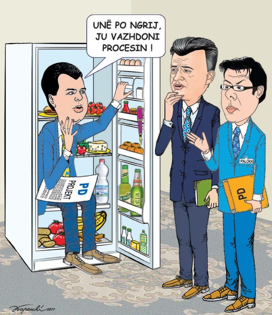 Zgjedhjet në PD, ja kush do të mund të votojë për kryetarin e ri