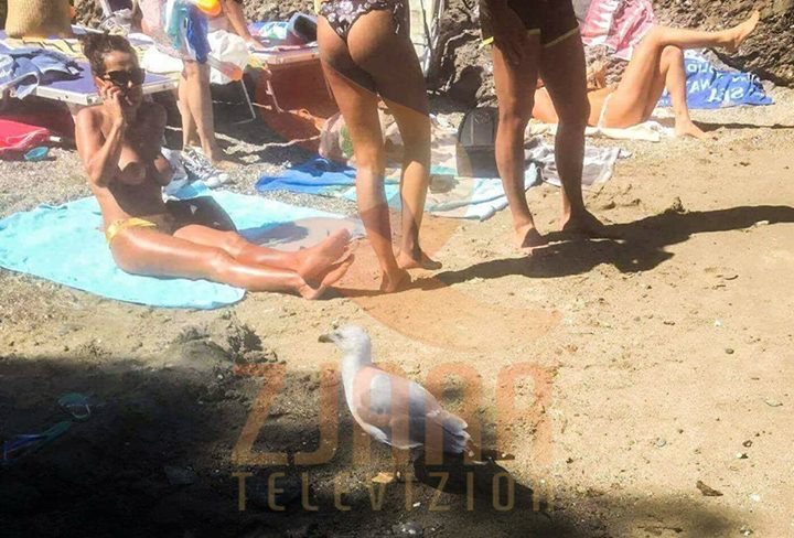 FOTOLAJM/Pushuesja nudo ne plazh publik!
