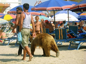 Turistët polakë të zhgënjyer me Shqipërinë; Ja komentet për ushqimin e varfër, muzikën, plehrat…