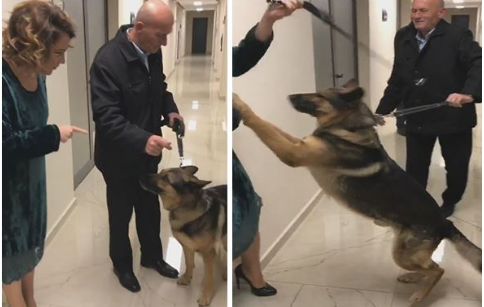 Duke pritur kryeministrin. Ja ҫfarë i ndodh Eni Vasilit!
