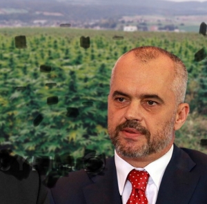 KANABISI DËSHTOI NË TREGJET EVROPIANE! PO TANI?
