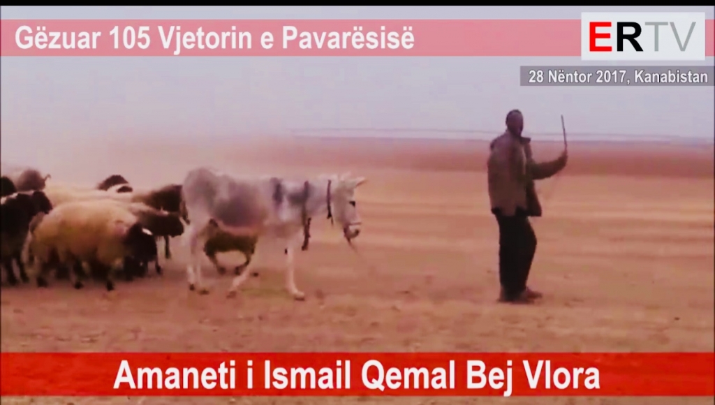 Video/ Av. Altin Goxhaj:  Festoni delee, kujdes edhe natën e bardhë….