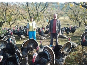 Vrau gruan me thikë për bukën, 50-vjeçari përlotet në gjyq: Nuk e di ç’kam bërë, kishim 4 vjet grindje