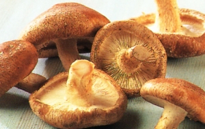 Kërpudhat parandalojnë kancerin e prostatës