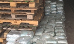 Befason gazetarja/ Tregon celulat e drogës që gjenden në Elbasan