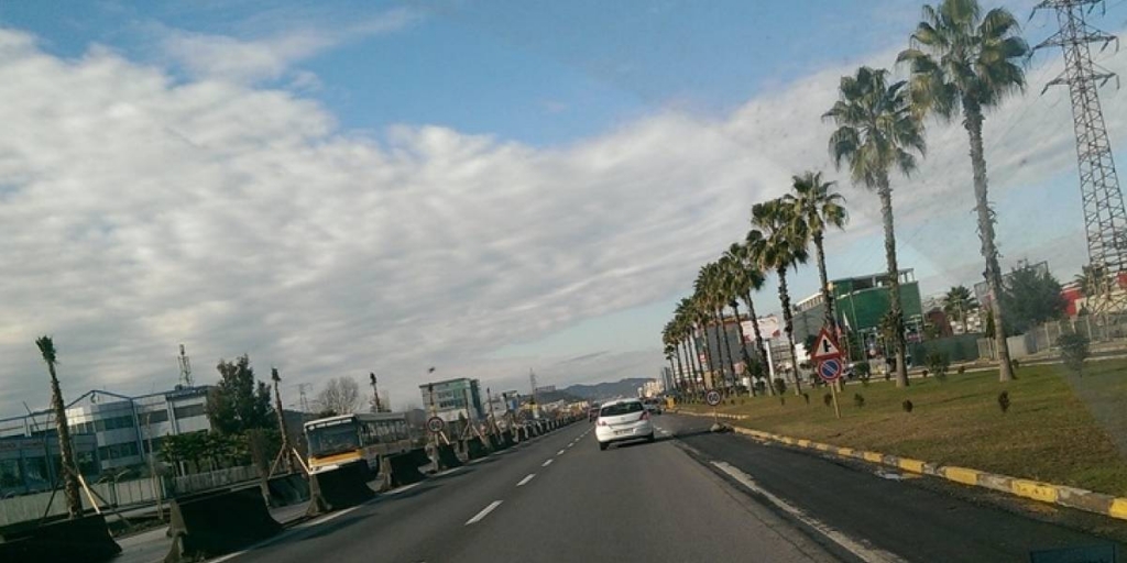 Ikin palmat e autostradës