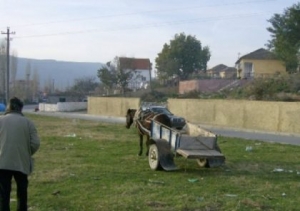 Bie nga karroca/ Humb jetën 65-vjeçari