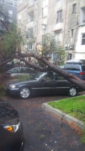 Pamjet e frikshme nga Tirana, rrëshqitje toke, pemë mbi makina. Veliaj: Mos u zini në panik, mos dilni pa cader se lageni…