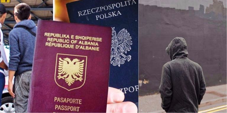 Bandat shqiptare, Daily: Vrasin pa mëshirë por janë budallenj