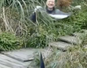 VIDEO/ Profesori bën zbulimin që po trondit shkencën! Krijon një mantel të padukshëm