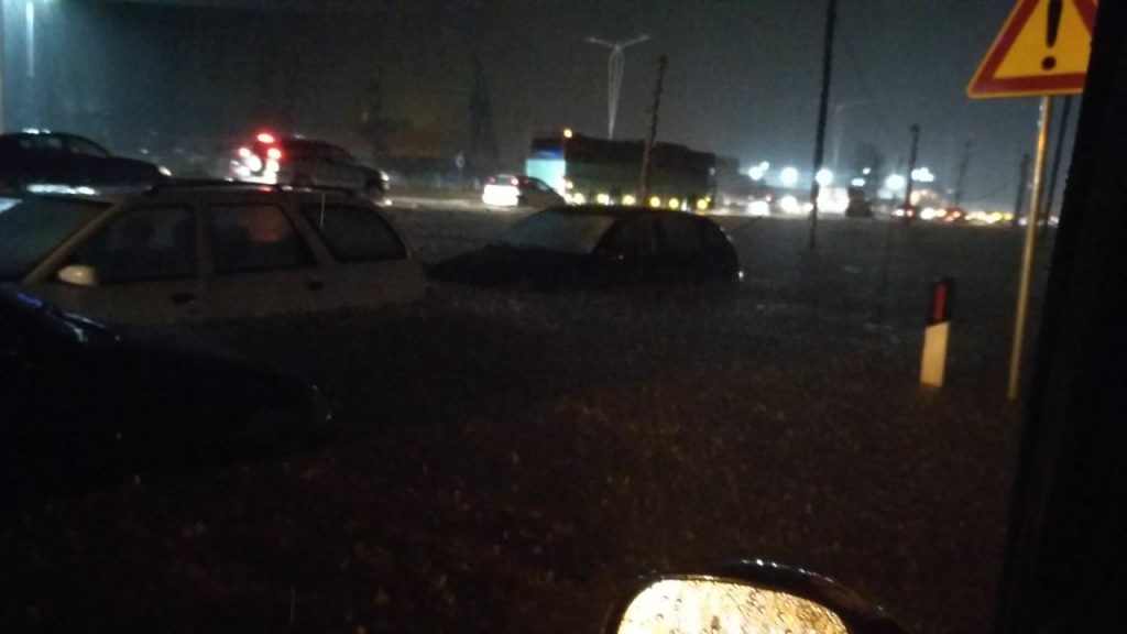 Tezja e tij raportoi për ndihmë…