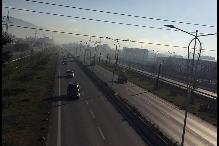 “Lamtumirë” palmave në autostradë, nis prerja e tyre dhe zëvendësimi me pisha
