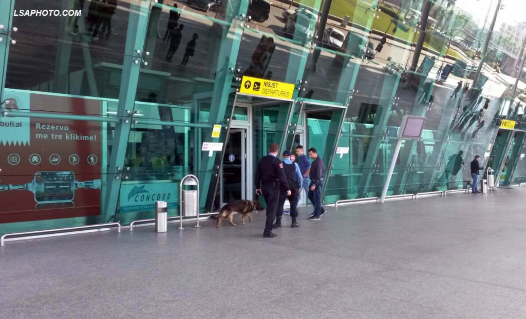 Kishte pasaportë të falsifikuar, policia kap 25-vjeçaren në dalje të Rinasit
