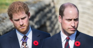 Njëzet vjet pas vdekjes së Princeshë Dianës, gjesti i rrallë që bëjnë dy djemtë e saj