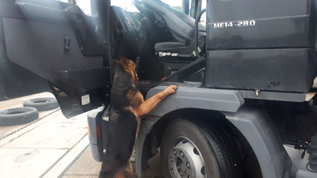 Kapet heroinë në portin e Durrësit, policia: Ja kush është shoferi i kamionit