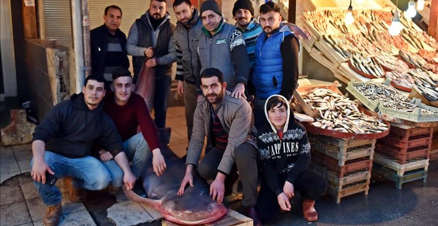 4 orë ‘luftë’, peshkatarët nxjerrin diçka të pazakontë nga uji