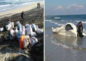 Itali, nuk ka të ndalur  droga nga Shqipëria, sekuestrohen 800 kg hashash