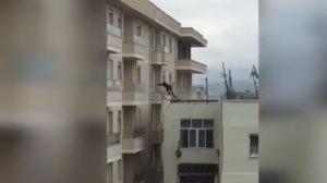 Video/ Grabitje “live” në Durrës në mes të ditës