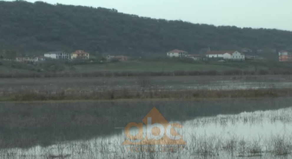Shkarkojnë HEC-et, përmbytje masive në ultësirën e Shkodrës