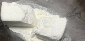 Goditet grupi i kokainës në Shkodër, 7 proçeduar