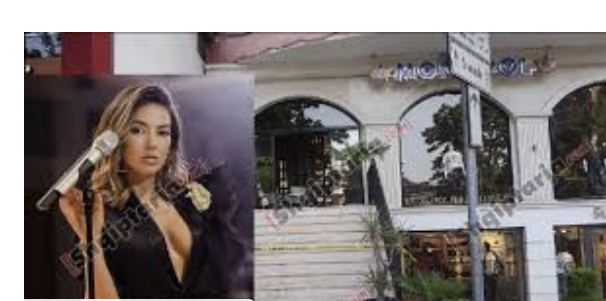 Detaje të reja/ Vrasja në Bllok, dëshmitare dhe këngëtarja e njohur