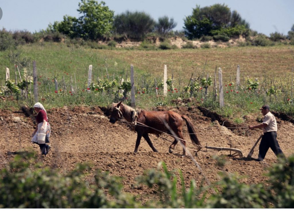 “Braktisja e fshatit”, 78% e shqiptarëve do jetojnë në qytet deri në 2050, të parët në rajon