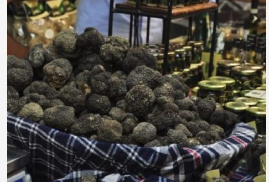 Tartufi shqiptar i rrallë dhe i shtrenjtë,  sa shumë e pëlqejnë italianët…