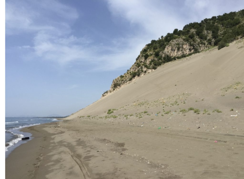 Pjesën e Ronës, kape krejt q** motrën’, përgjimet e vëllait të Arben Ndokës: Na duhet një k** për këtë punë