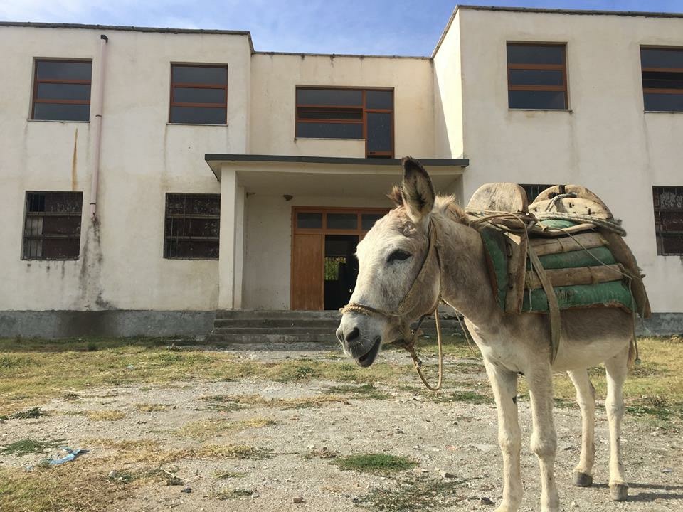 E ç’fshat na qenka ky ?