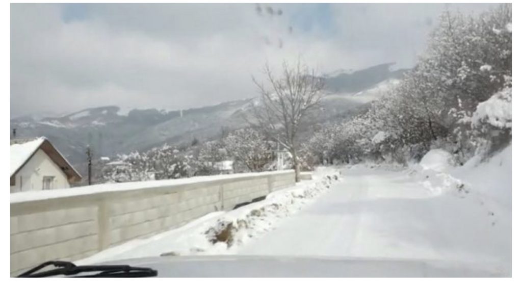 Një lajm i mirë për motin  në vijim