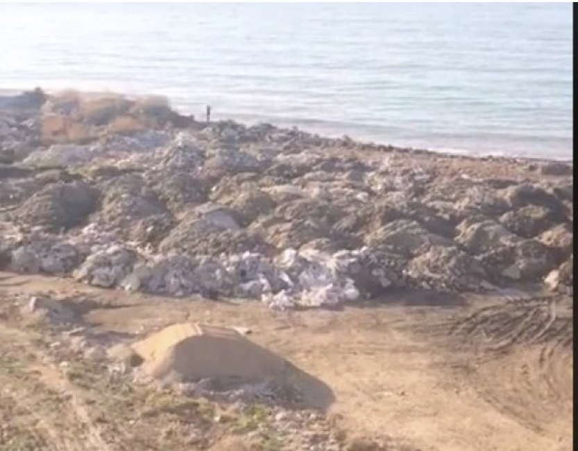 Skandal/ VIDEO/ Mbetjet e firmave private të Dakos shkatërrojnë plazhin e Durrësit