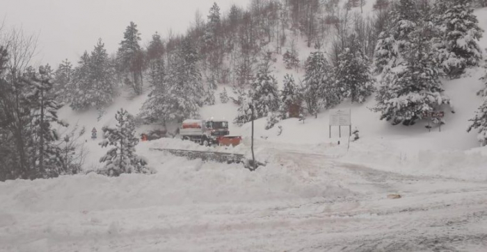 Parashikimi i motit për sot, 26 janar 2019