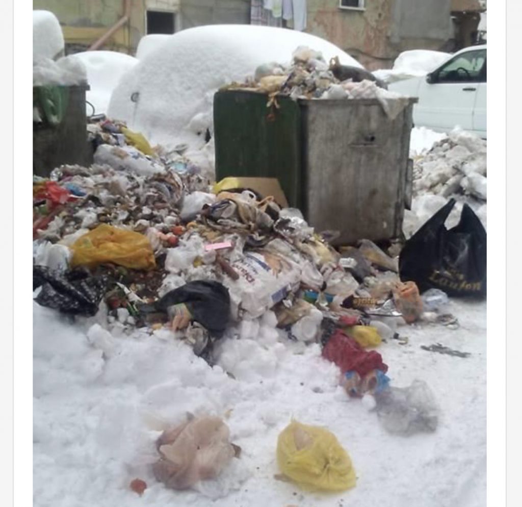 Pamje skandaloze, Dibra “pushtohet” nga plehrat, banori ther lopën në mes të rrugës: Bora na ka bllokuar…