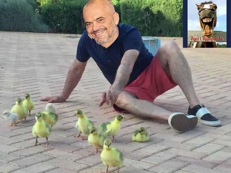 FOTOHUMOR/PËR INAT TË LIKES…