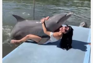 KUBE/Ajo hapi krahët për ta përqafuar delfinin
