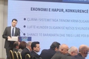 “Investimet e huaja në pikiatë”, Basha: Nuk është kërcënim…