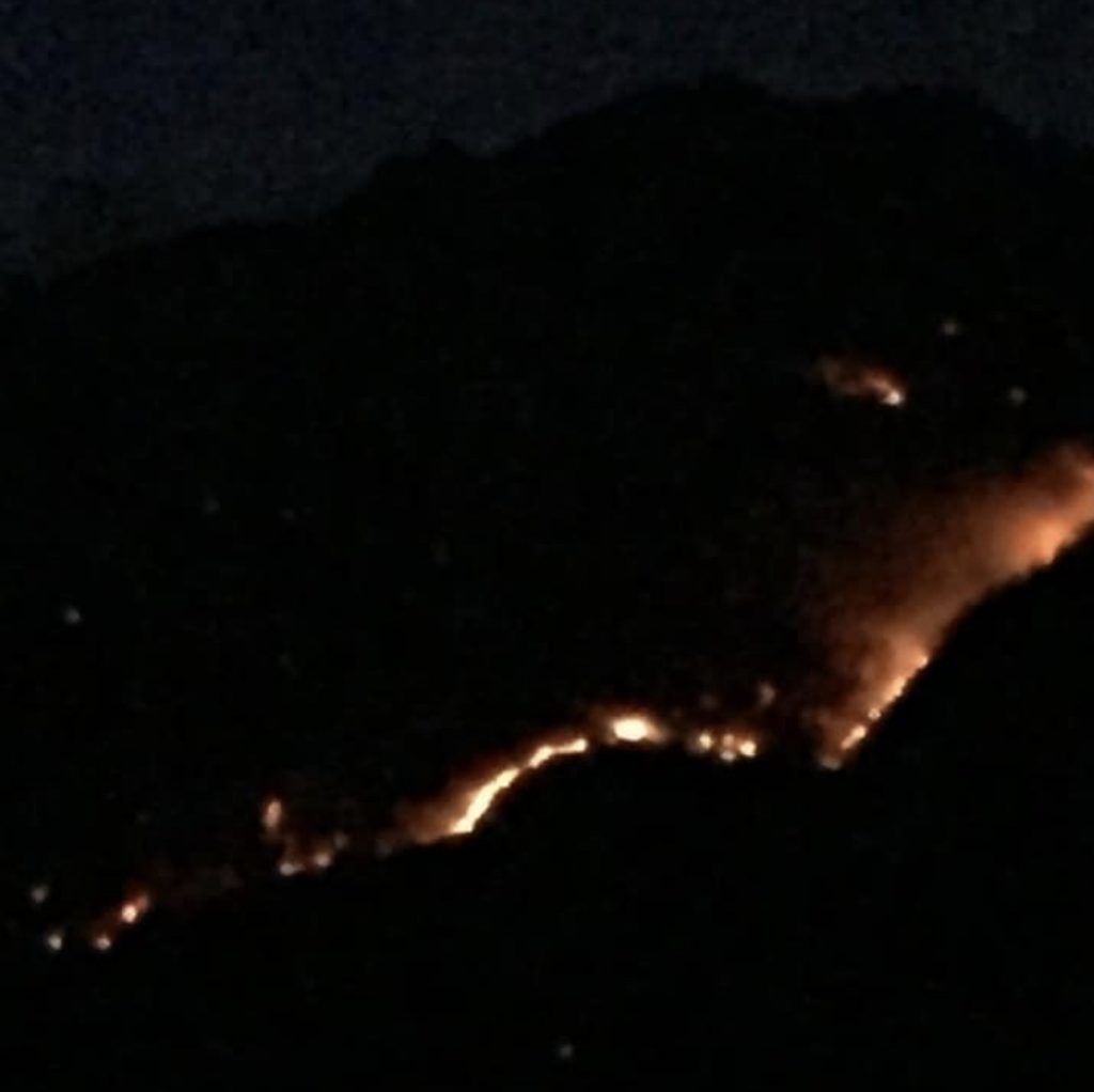 FOTOLAJM/Tropojë, zjarri po djeg masive  të tëra pyjesh me gështenja