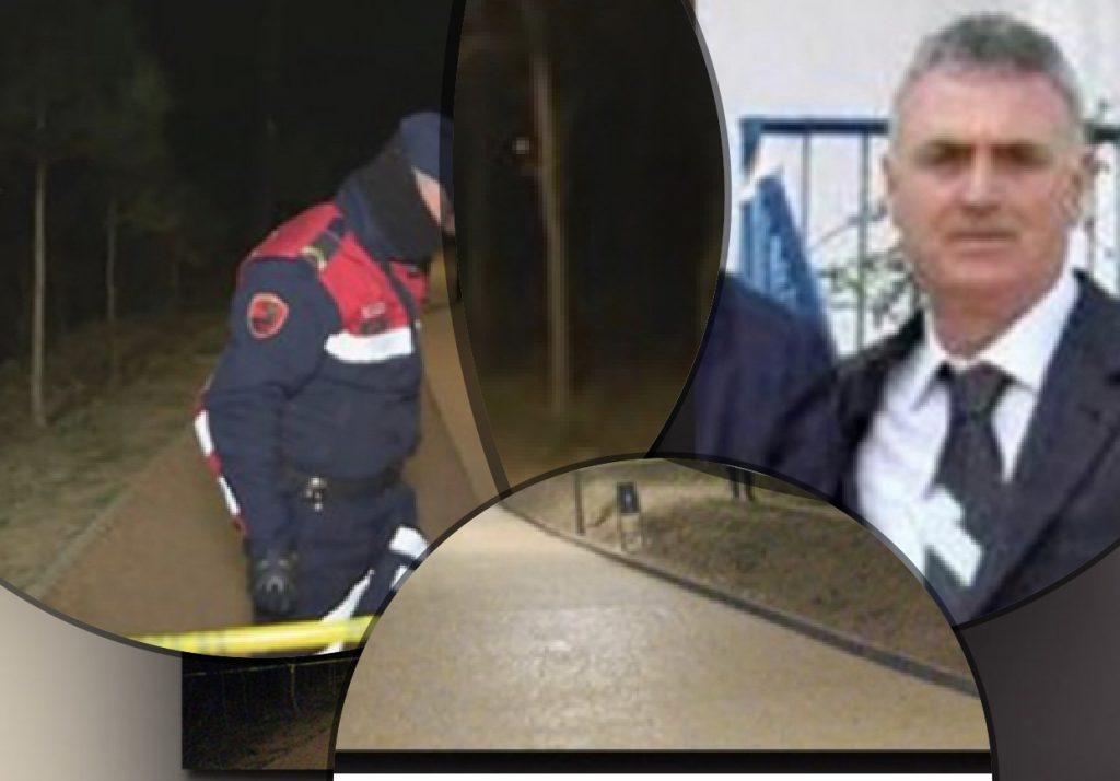 Vrasja te liqeni/  Detaje të reja për vrasjen