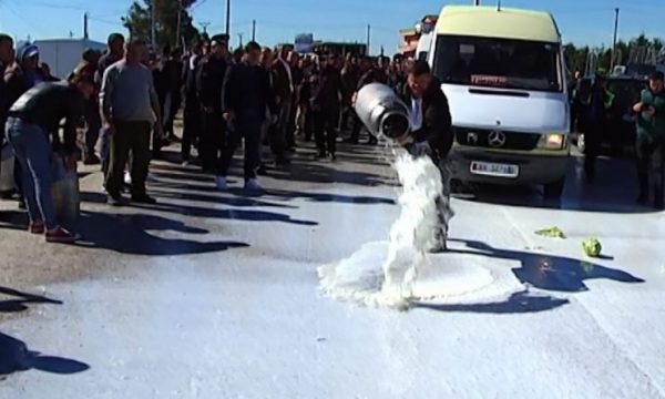 Blegtorët hedhin qumështin në rrugë: Nuk e blen askush