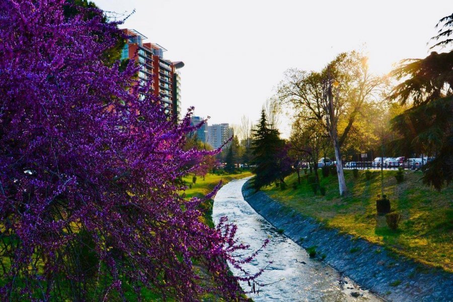 Moti, rritje temperaturash në mesditë