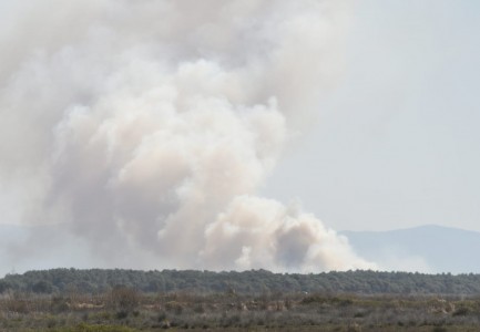 FOTO/ Zjarri masiv përfshin pyjet e Darzezës