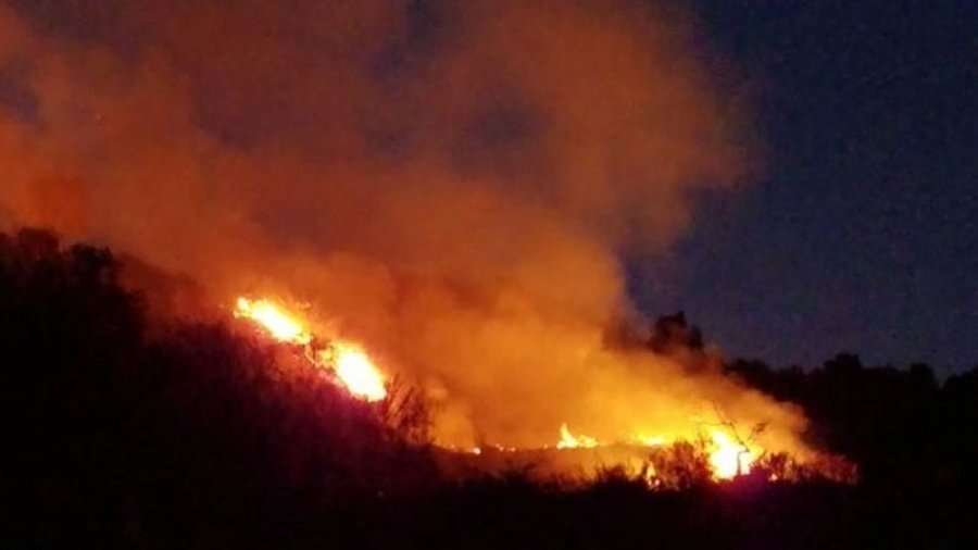 Zjarr i madh, digjen dy hektarë pisha në Qafë Bualli