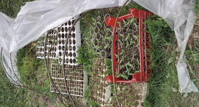 Policia kontroll të befasishëm, kapen në flagrancë 4 persona dhe Kryeplaku…