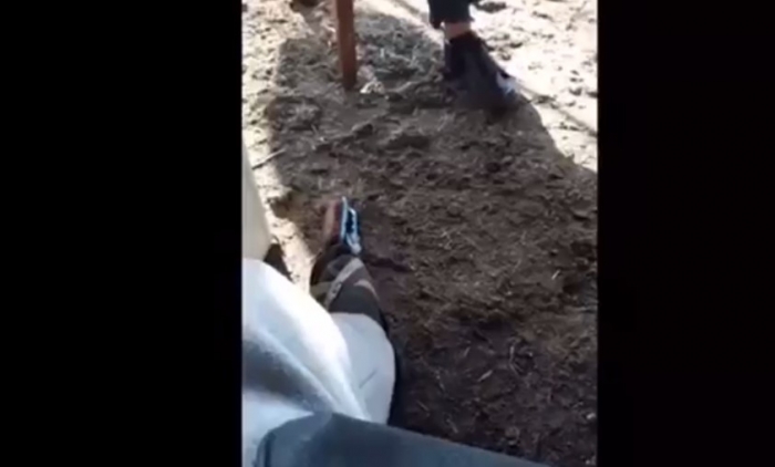 PUBLIKOHET VIDEO SHOKUESE/ NJË NGA VIKTIMAT E SHKODRËS PARALAJMËROI VRASJEN E TIJ (FILMIMI QË BËRI VETË)