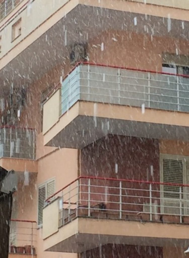 Breshëri ‘pushton’ Tiranën
